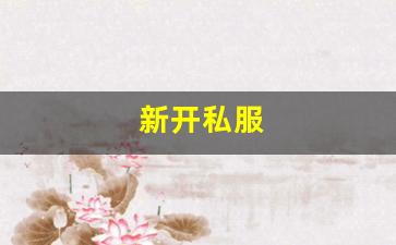 新开私服(sf999传奇新服网) (2)