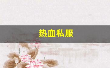 热血江湖脚本：热血私服(热血正版手游)