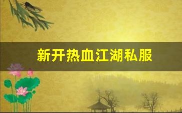 新开热血江湖私服 (9)