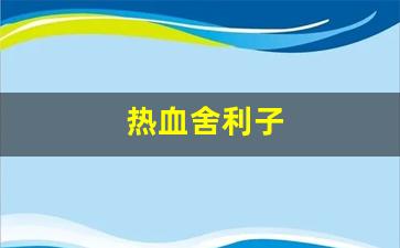 热血江湖客户端：热血舍利子(血肉舍利子) (2)