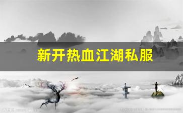 新开热血江湖私服 (10)