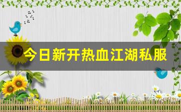 热血江湖私服发布站：今日新开热血江湖私服 (9)