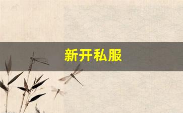 热血江湖私副(热血江湖怎么给副门主)