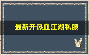 最新开热血江湖私服 (12)