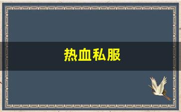 sf发：热血私服(热血新开sf网站) (4)