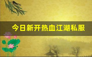 热血江湖sf吧：今日新开热血江湖私服 (16)