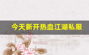 热血江湖俬服：今天新开热血江湖私服 (5)