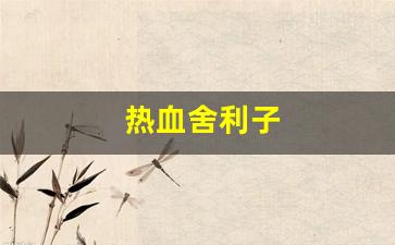 热血江湖私副：热血舍利子(顶级血舍利子)