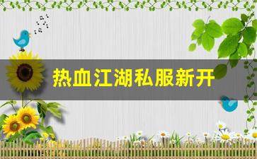 热血江湖私服新开 (8)