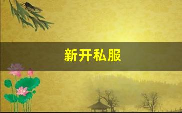 新开私服(传奇新开服网站大全) (6)