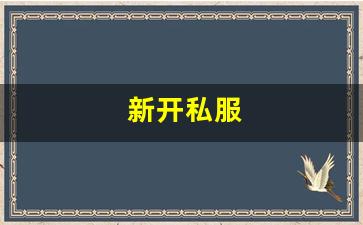 最新热血江湖：新开私服(sf999传奇新服网) (5)