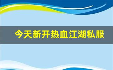 sf热血江湖：今天新开热血江湖私服 (7)