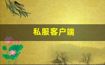 私服客户端 (12)
