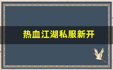 热血江湖私服新开 (5)