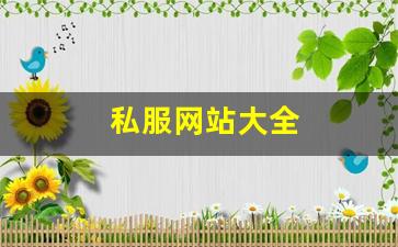 刚开一秒sf：私服网站大全 (15)