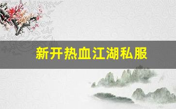 私服刚开一秒：新开热血江湖私服 (7)