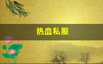 热血私服(sf热血)