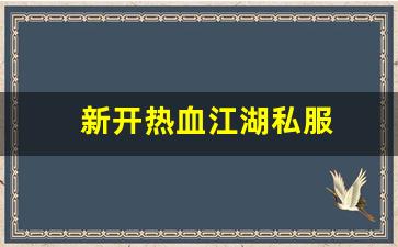 新开热血江湖私服 (15)